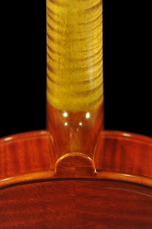 ���@�b�J�[�� vaccari �C�^���A �o�C�I����