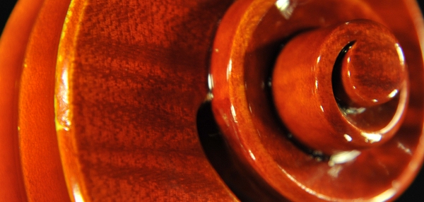 ���@�b�J�[�� vaccari �C�^���A �o�C�I����