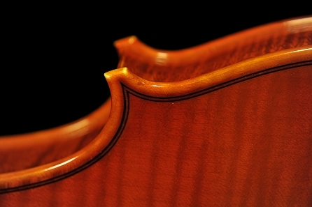 ���@�b�J�[�� vaccari �C�^���A �o�C�I���� MAGICO