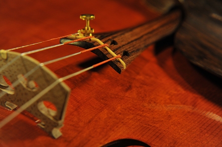 �A�N�C���[�m ���C�W �C�^���A �o�C�I���� �C�^���[