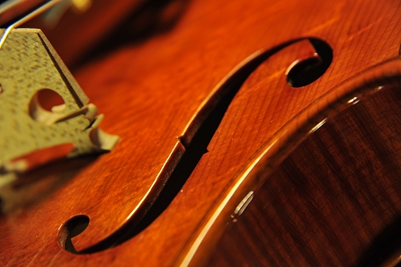 �A�N�C���[�m ���C�W �C�^���A �o�C�I���� �C�^���[