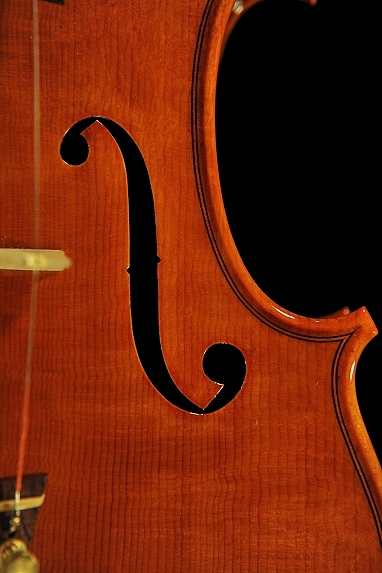 �A�N�C���[�m ���C�W �C�^���A �o�C�I���� �C�^���[