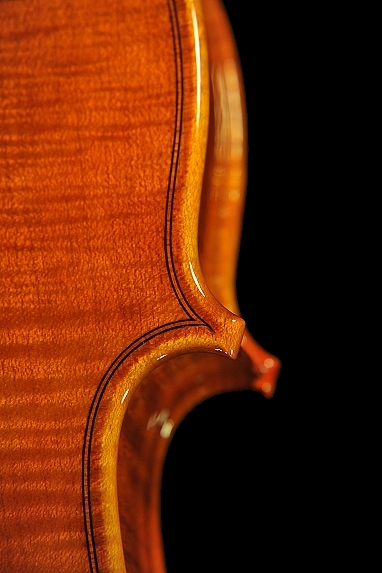 �A�N�C���[�m ���C�W �C�^���A �o�C�I���� �C�^���[