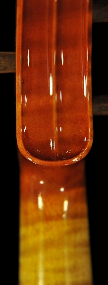 �A�N�C���[�m ���C�W �C�^���A �o�C�I���� �C�^���[