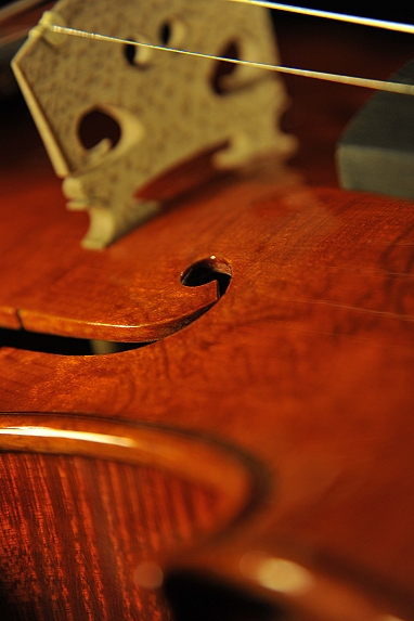 Aquilino Luigi �o�C�I���� �N�����i Cremona