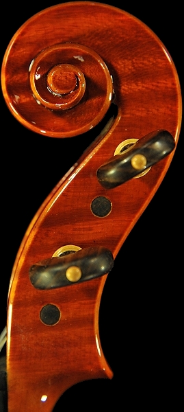 �A�N�C���[�m ���C�W �C�^���A �o�C�I���� �C�^���[