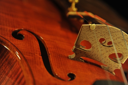 Aquilino Luigi �o�C�I���� �N�����i Cremona