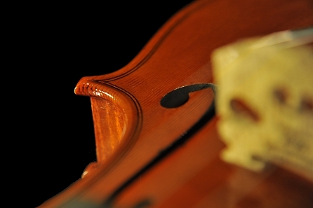 �m�b�� �}���R �o�C�I���� �N�����i