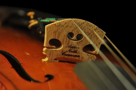 �m�b�� �}���R �o�C�I���� �N�����i