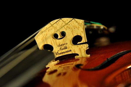 Nolli Marco Violin Cremona