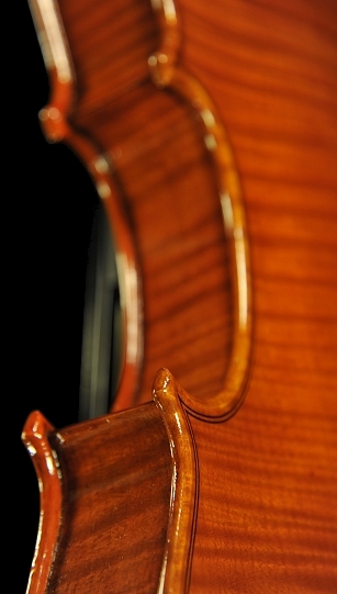 �m�b�� �}���R �o�C�I���� �N�����i