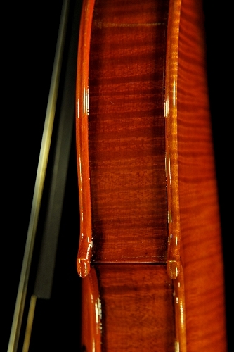 �m�b�� �}���R �o�C�I���� �N�����i