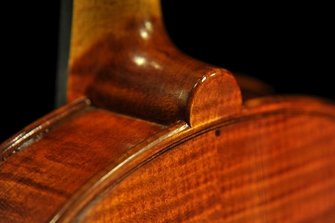 �C�^���A �o�C�I���� �f�B�r�A�b�W��