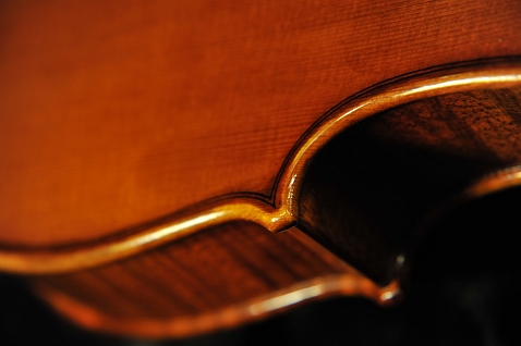 �o�C�I���� �C�^���A �f�B�r�A�b�W�� Labo