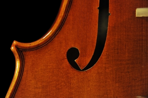 �o�C�I���� �C�^���A �f�B�r�A�b�W�� Labo