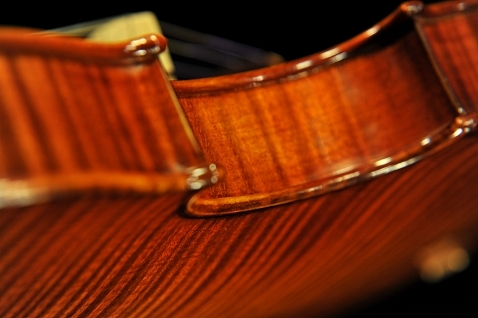 �C�^���A �o�C�I���� �f�B�r�A�b�W��