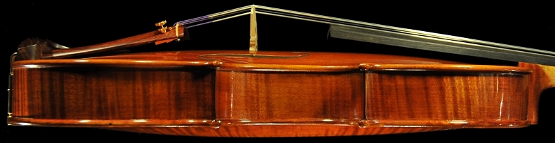 �C�^���A �o�C�I���� �f�B�r�A�b�W��