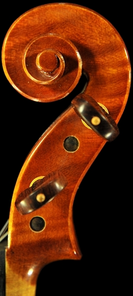 �C�^���A �o�C�I���� �f�B�r�A�b�W��