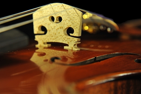 �C�^���A �o�C�I���� �f�B�r�A�b�W��