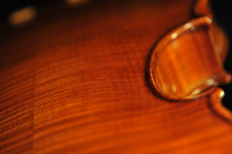 �o�C�I���� �C�^���A �f�B�r�A�b�W�� Labo