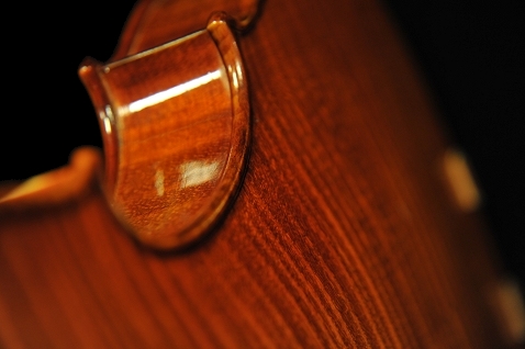 �C�^���A �o�C�I���� �f�B�r�A�b�W��