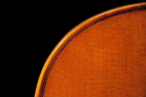 �o�C�I���� �C�^���A �f�B�r�A�b�W�� Labo