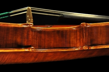 �R�j�A �o�C�I���� �N�����i