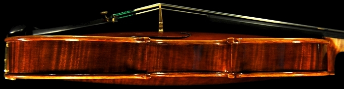 �R�j�A �o�C�I���� �N�����i