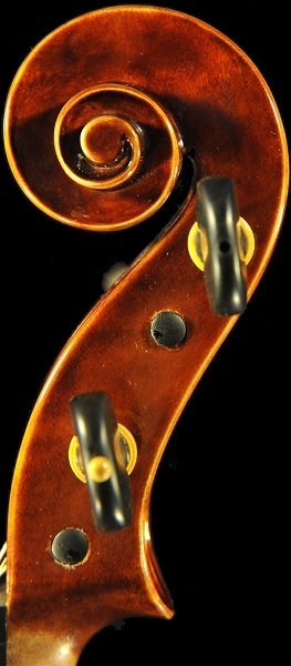 �R�j�A �o�C�I���� �N�����i