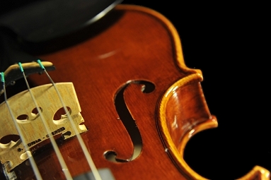 �R�j�A �o�C�I���� �N�����i