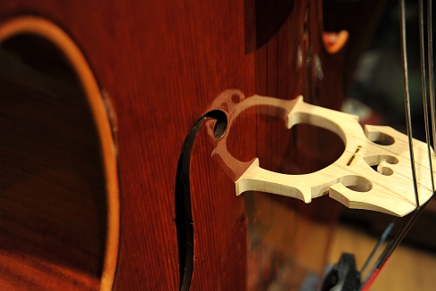 �`�[���@ civa �N�����i �C�^���A �`�F��