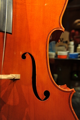 Capellini Cello Italy �`�F��