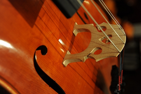 Cassi Lorenzo Cello Italy �`�F��