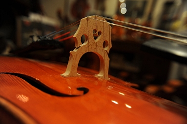 �J�y���[�j �N�����i �C�^���A �`�F��