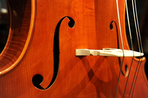 �J�b�V �N�����i �C�^���A �`�F��