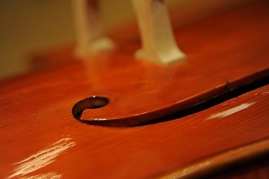 Capellini Cello Italy �`�F��