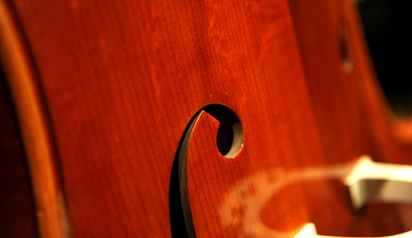 �J�b�V �N�����i �C�^���A �`�F��