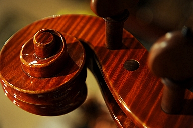 Capellini Cello Italy �`�F��