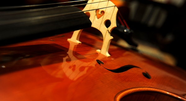 Cassi Lorenzo Cello Italy �`�F��