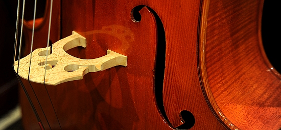 Capellini Cello Italy �`�F��