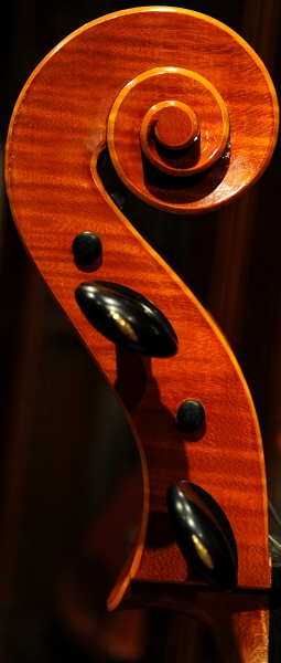 �J�b�V �N�����i �C�^���A �`�F��