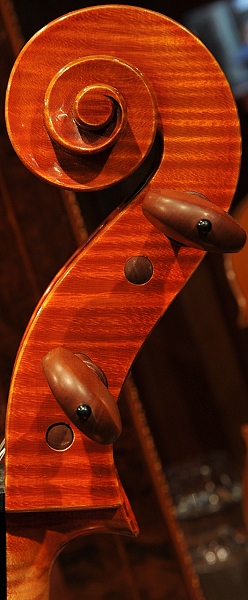 Capellini Cello Italy �`�F��