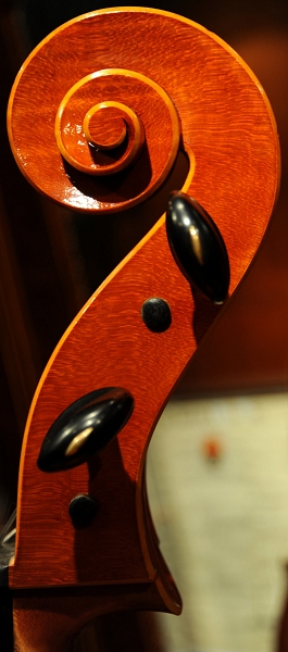 Cassi Lorenzo Cello Italy チェロ