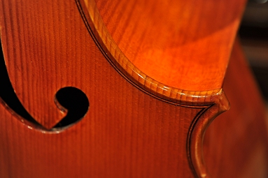 Capellini Cello Italy �`�F��