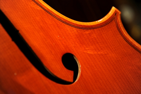 Cassi Lorenzo Cello Italy チェロ