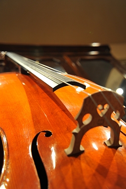 �J�y���[�j �N�����i �C�^���A �`�F��