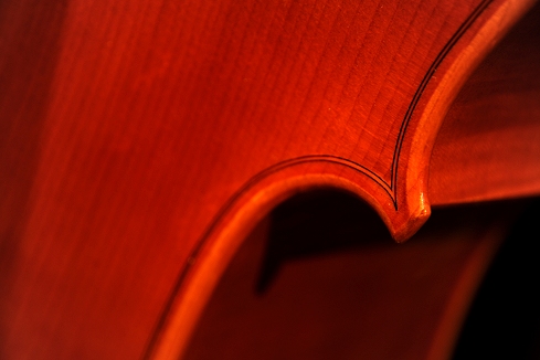 �J�b�V �N�����i �C�^���A �`�F��