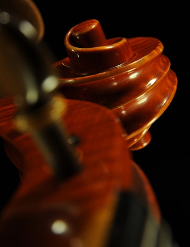 �f�B�r�A�b�W�� �r�I��