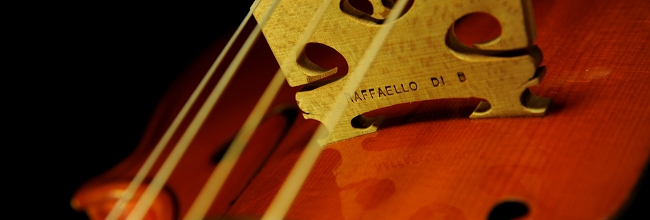 �f�B�r�A�b�W�� �r�I��