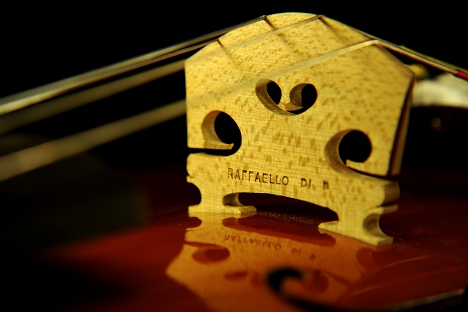 �f�B�r�A�b�W�� �r�I��